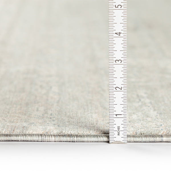 dalyn regal rg2 mist rug