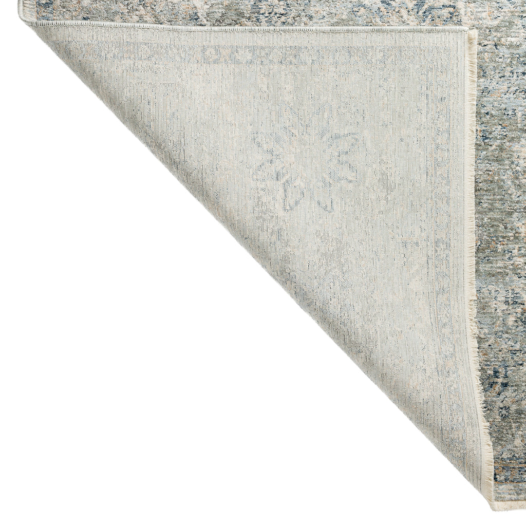 dalyn regal rg4 sky rug