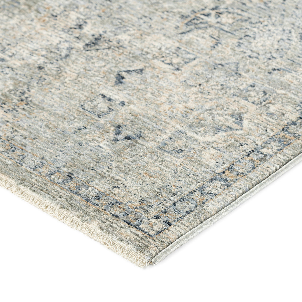 dalyn regal rg4 sky rug