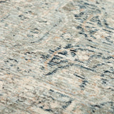 dalyn regal rg4 sky rug