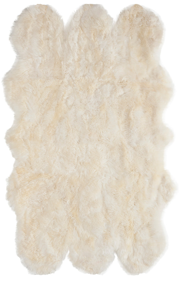 safavieh clearance ralph lauren rlr5211a morning rug