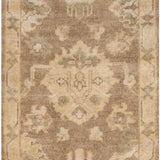 safavieh clearance ralph lauren rlr6845d faded gold rug