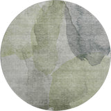 dalyn ravenna rn12 fern rug