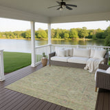 dalyn ravenna rn5 aloe rug
