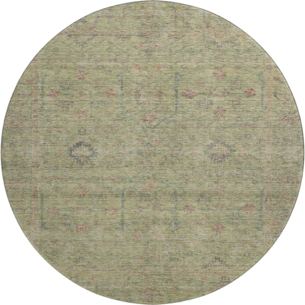 dalyn ravenna rn5 aloe rug
