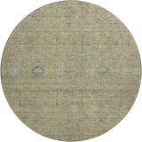 dalyn ravenna rn5 aloe rug