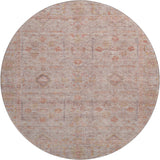 dalyn ravenna rn5 coral rug