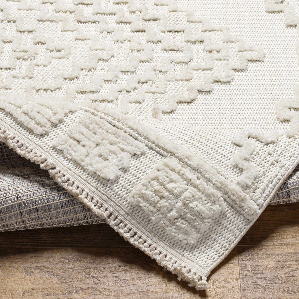 Hauteloom Rosales RSLS Cream Machine Made Polyester Rug