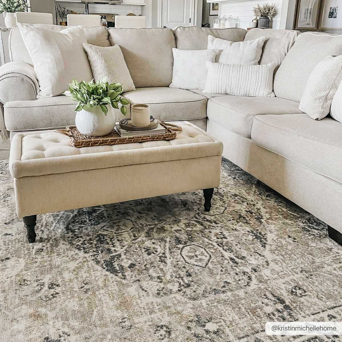 Hauteloom Rudo SLLIRUDOAA3 Gray Machine Made Polyester Rug