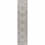 Hauteloom Tigris TGS2315 Gray Machine Made Polypropylene Rug