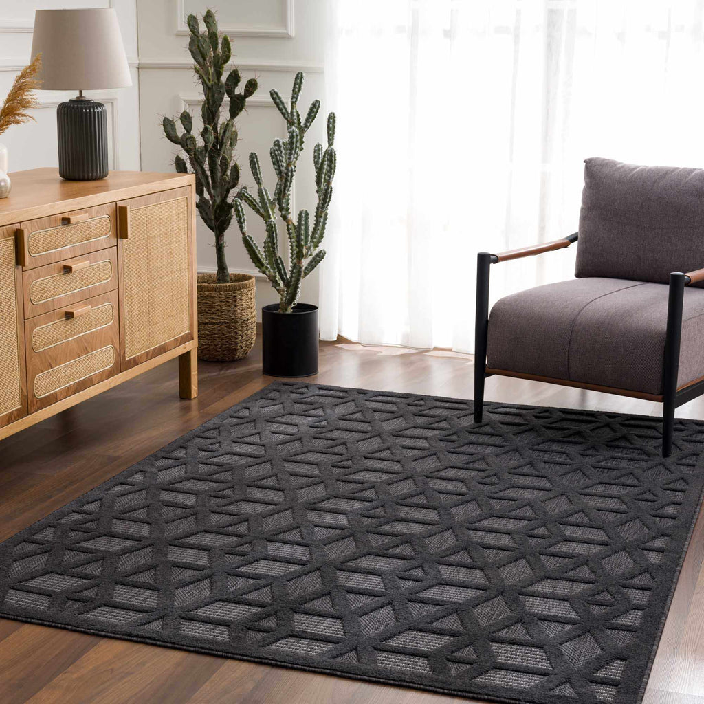 Hauteloom Nuri SSAMNURICA1 Black Machine Made Polypropylene Rug