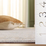 safavieh clearance signature sig724g dark grey rug