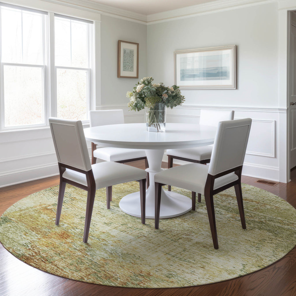 dalyn solace sl5 fern rug