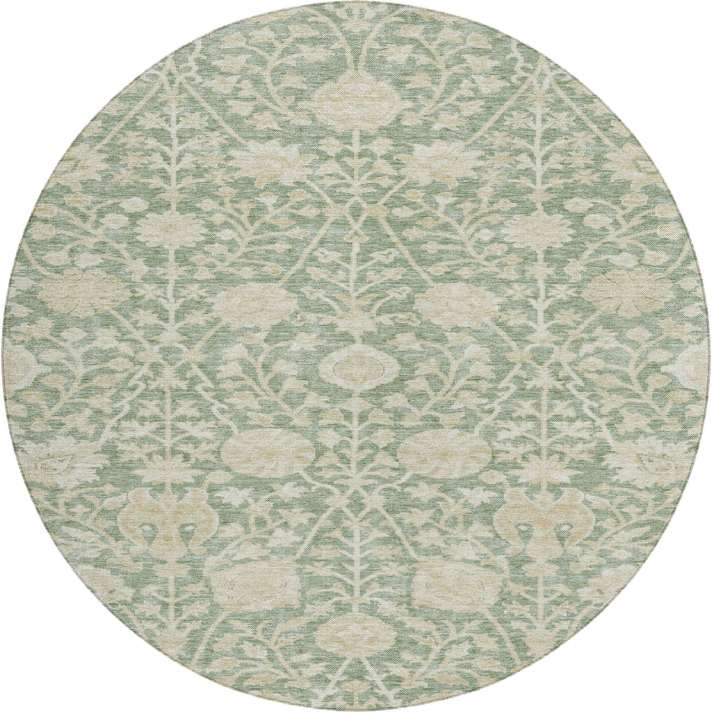 dalyn solace sl8 aloe rug