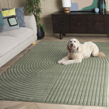 safavieh clearance selena sle674y green rug