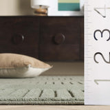 safavieh clearance selena sle678y green rug