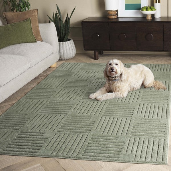 safavieh clearance selena sle678y green rug