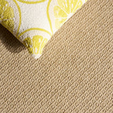 safavieh clearance sisal performance 800 spf802c natural rug
