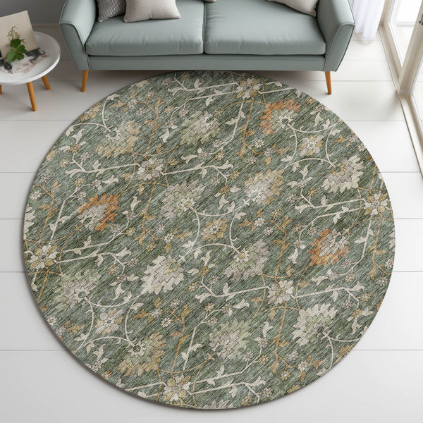 dalyn silk road sr1 basil rug