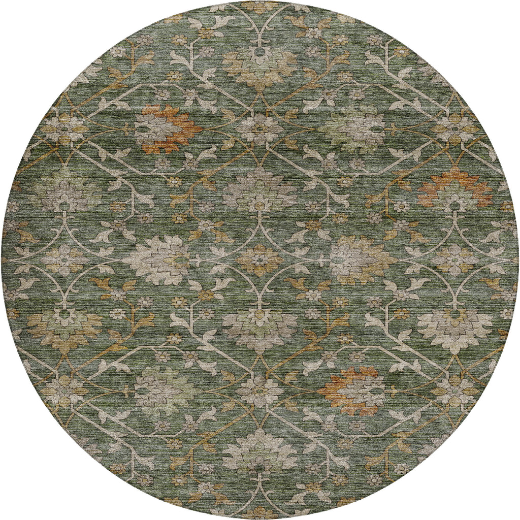 dalyn silk road sr1 basil rug