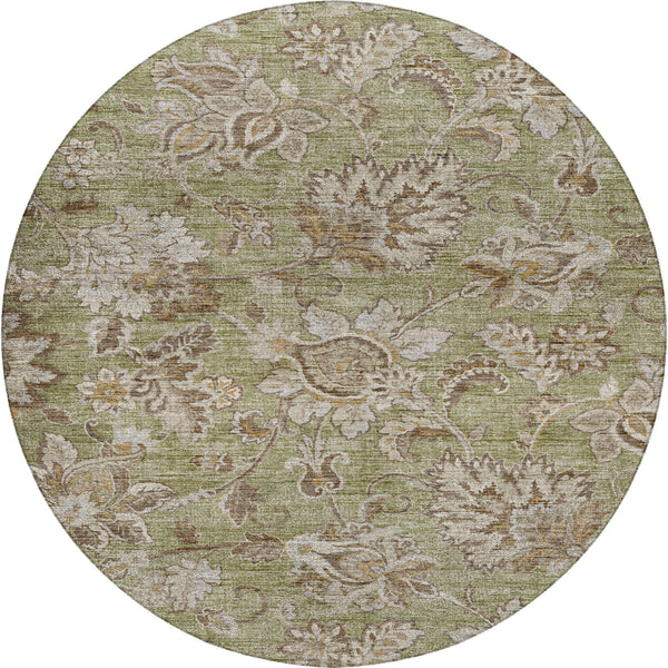dalyn silk road sr2 aloe rug