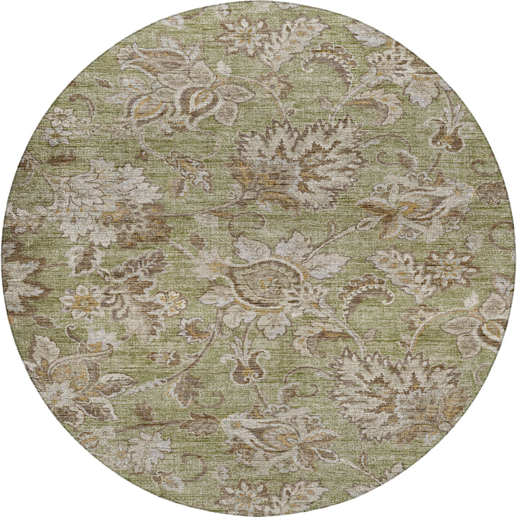 dalyn silk road sr2 aloe rug