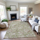 dalyn silk road sr2 aloe rug