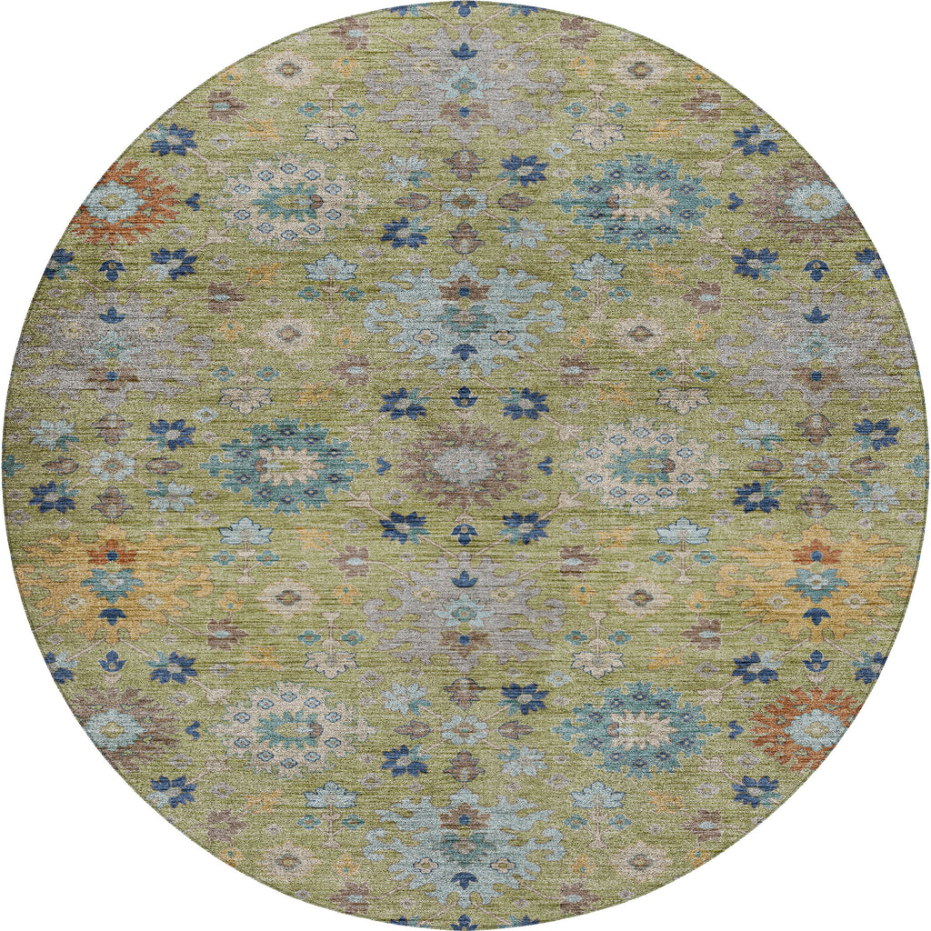 dalyn silk road sr3 aloe rug
