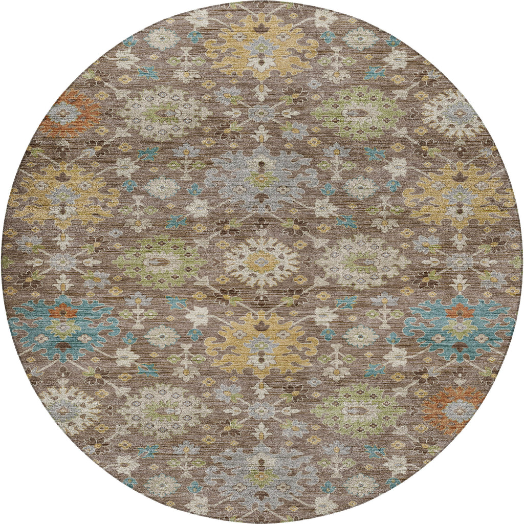 dalyn silk road sr3 mocha rug