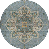 dalyn silk road sr6 aqua rug