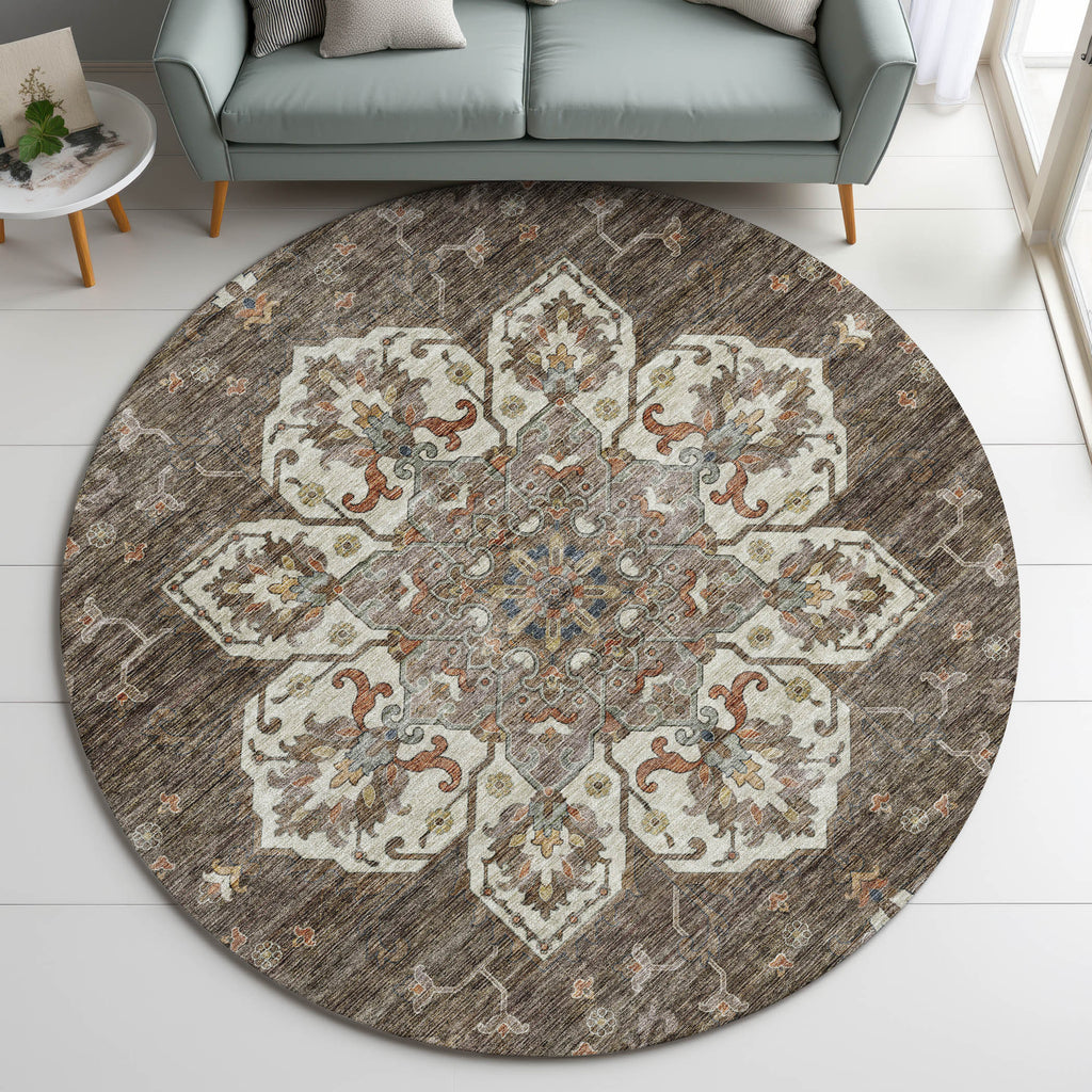 dalyn silk road sr6 chocolate rug