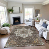 dalyn silk road sr6 chocolate rug