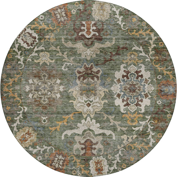 dalyn silk road sr8 basil rug