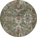 dalyn silk road sr8 basil rug