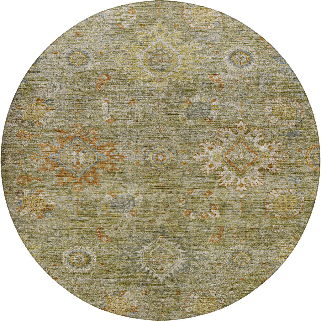dalyn silk road sr9 sage rug