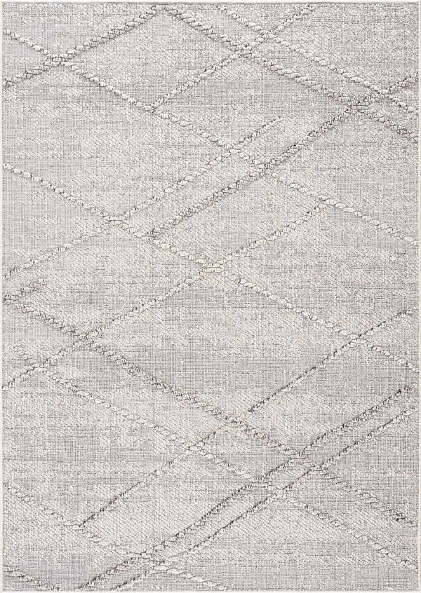 Hauteloom Limited Edition HSSOBAQERA2 Taupe Machine Made Polypropylene Rug