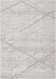 Hauteloom Limited Edition HSSOBAQERA2 Taupe Machine Made Polypropylene Rug