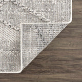 Hauteloom Limited Edition HSSOBAQERA2 Taupe Machine Made Polypropylene Rug