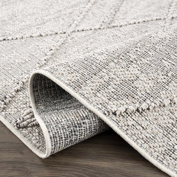 Hauteloom Limited Edition HSSOBAQERA2 Taupe Machine Made Polypropylene Rug