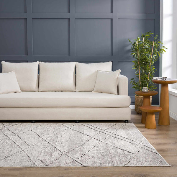 Hauteloom Limited Edition HSSOBAQERA2 Taupe Machine Made Polypropylene Rug