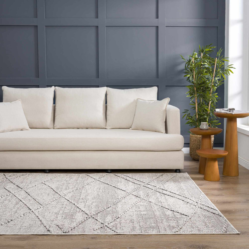 Hauteloom Limited Edition HSSOBAQERA2 Taupe Machine Made Polypropylene Rug