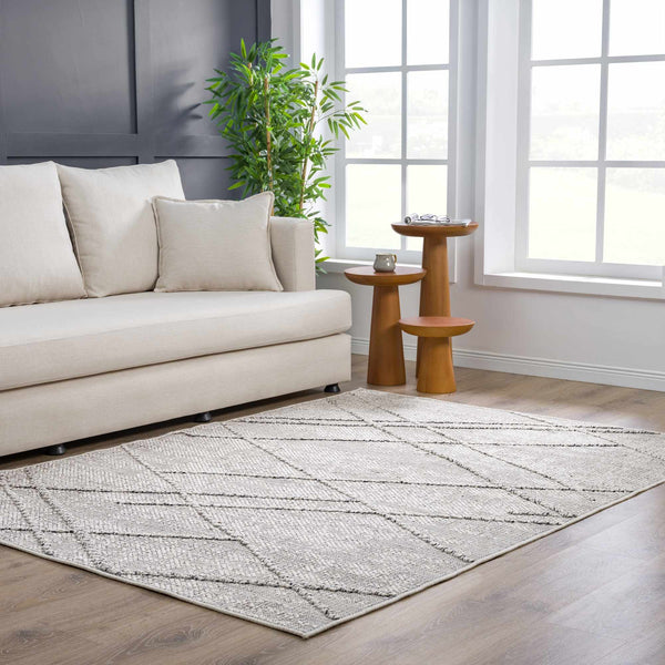 Hauteloom Limited Edition HSSOBAQERA2 Taupe Machine Made Polypropylene Rug