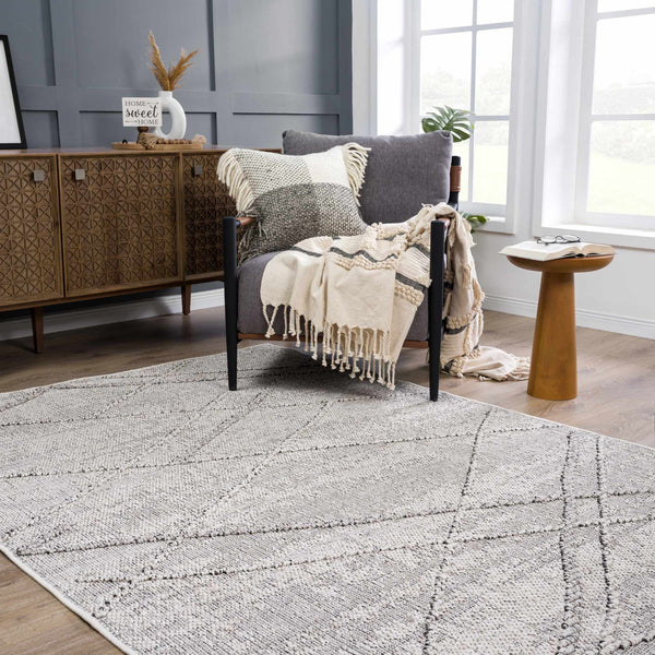 Hauteloom Limited Edition HSSOBAQERA2 Taupe Machine Made Polypropylene Rug