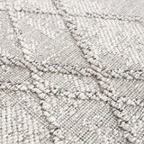 Hauteloom Limited Edition HSSOBAQERA2 Taupe Machine Made Polypropylene Rug