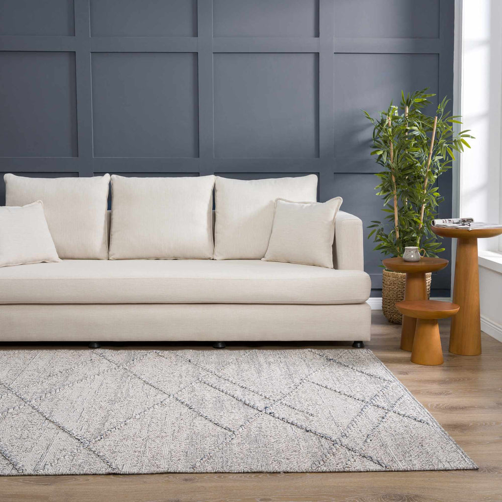 Hauteloom Baqer HSSOBAQERA3 Taupe Machine Made Polypropylene Rug