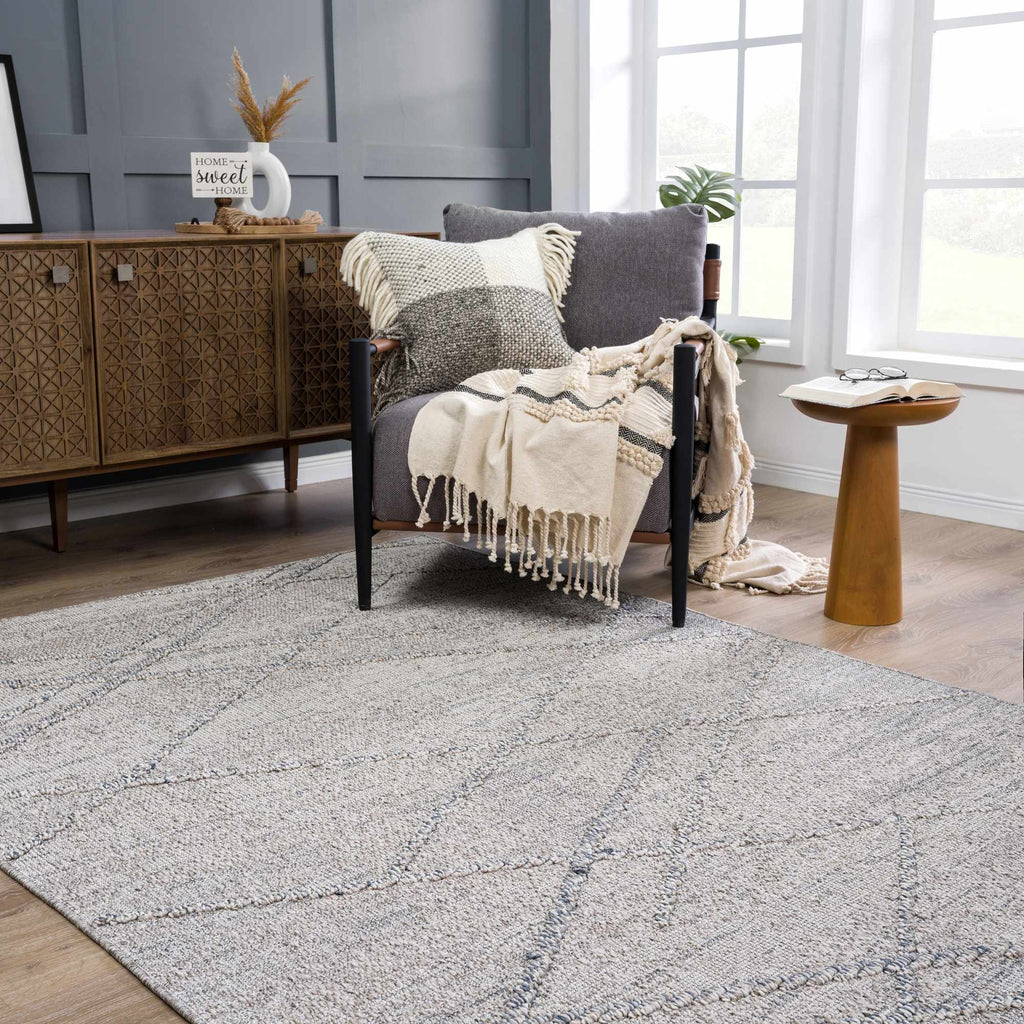 Hauteloom Baqer HSSOBAQERA3 Taupe Machine Made Polypropylene Rug