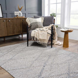 Hauteloom Baqer HSSOBAQERA3 Taupe Machine Made Polypropylene Rug