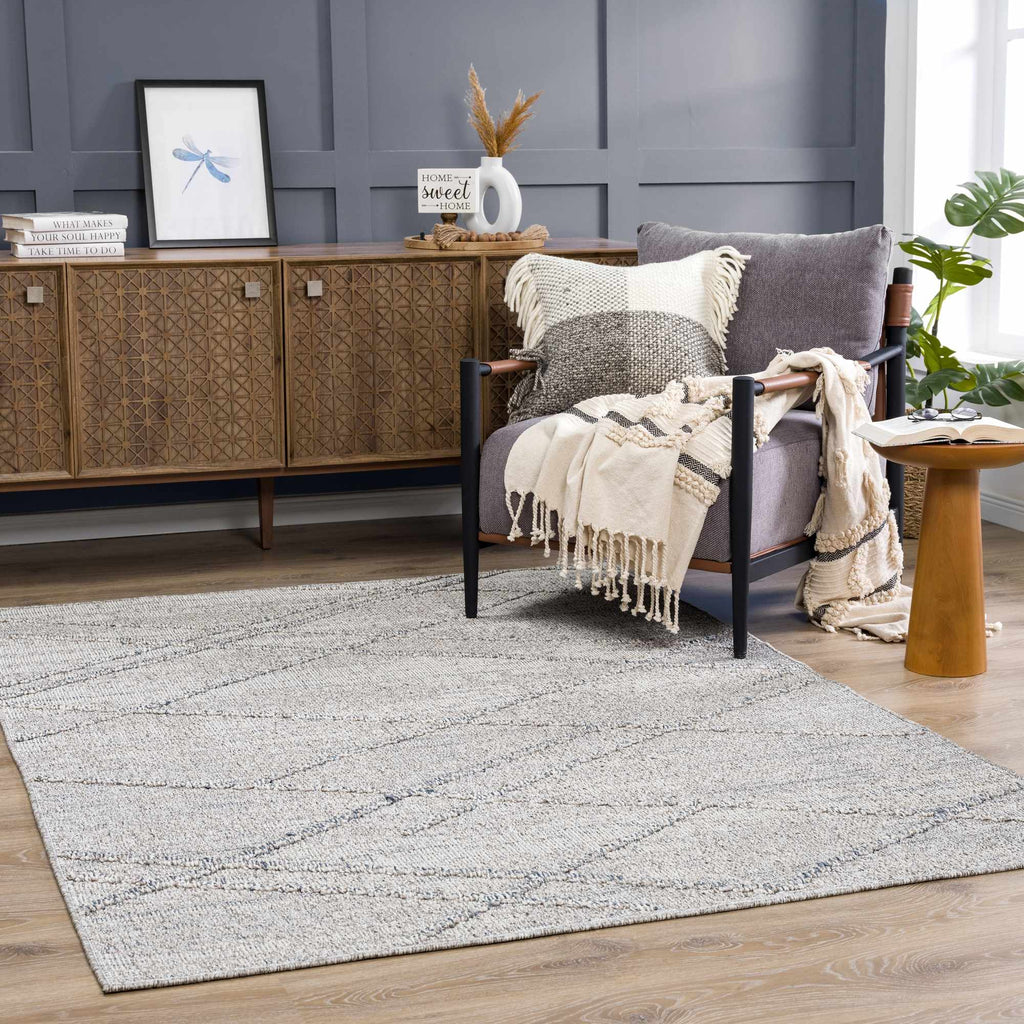 Hauteloom Baqer HSSOBAQERA3 Taupe Machine Made Polypropylene Rug