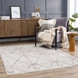 Hauteloom Nyla HSSONYLA8A1 Beige Machine Made Polypropylene Rug