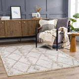 Hauteloom Nyla HSSONYLA8A2 Tan Machine Made Polypropylene Rug